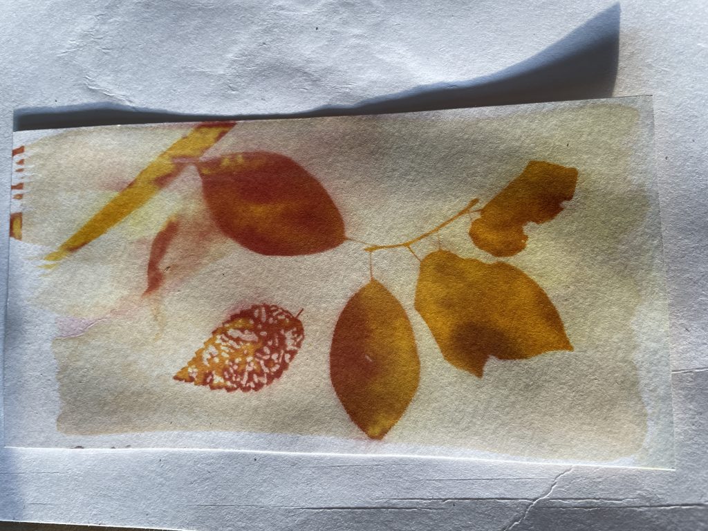 One technique that added more tones and colors was to process half the print in Borax, and the other half in baking soda!